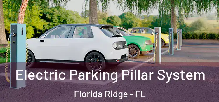 Electric Parking Pillar System Florida Ridge - FL